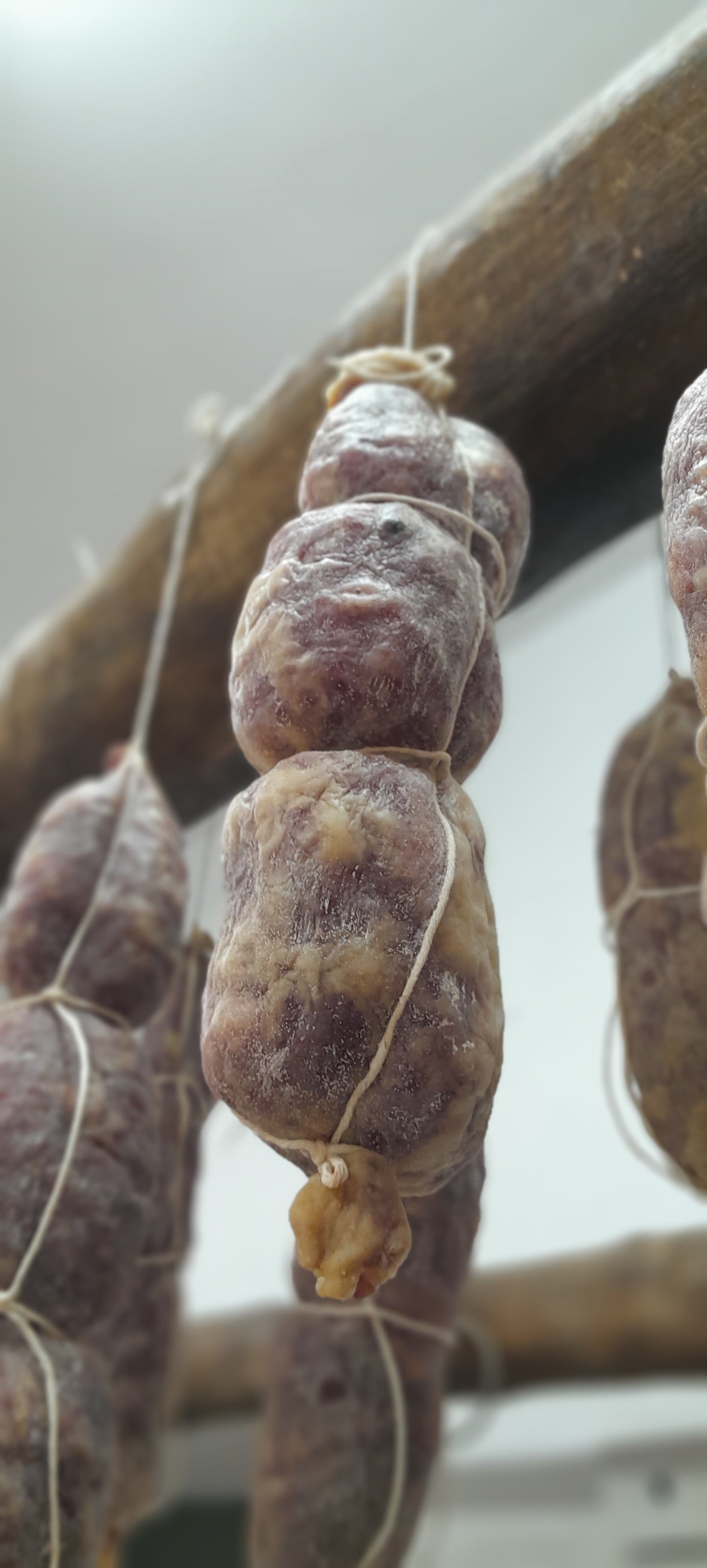 Salame produzione propia tipico dei monti lattari prezzo al kg